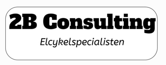 2B Consulting Logo